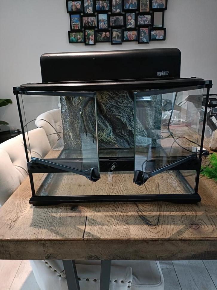 Exo terra glas terrarium met veel extra spullen, Dieren en Toebehoren, Reptielen en Amfibieën | Toebehoren, Zo goed als nieuw