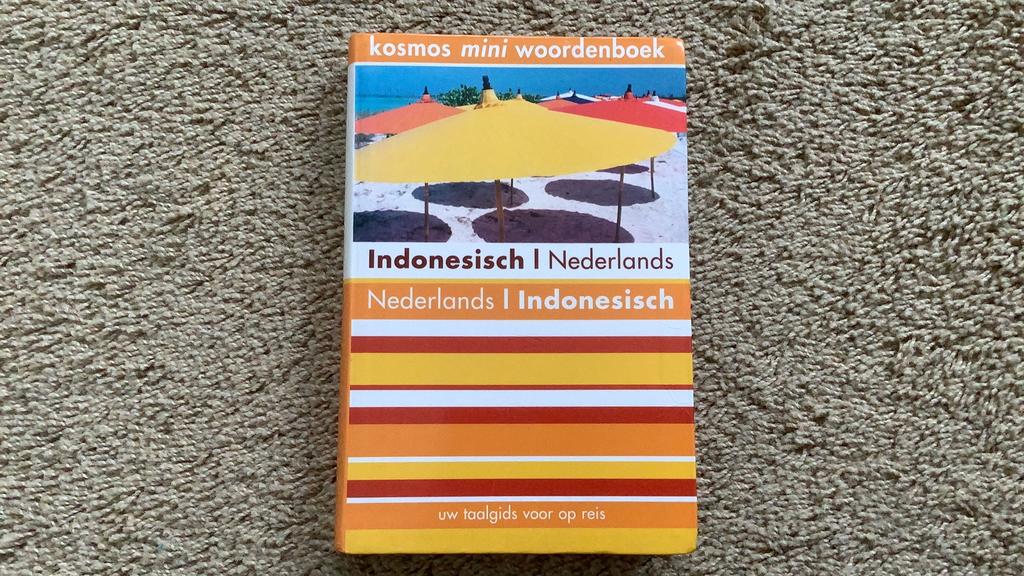 Indonesisch / Nederlands - Nederlands / Indonesisch. 2004, Overige merken, Ophalen of Verzenden, Zo goed als nieuw, Reisgids of -boek