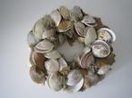 Sfeervolle krans gemaakt van schelpen, Huis en Inrichting, Woonaccessoires | Kransen, Ophalen of Verzenden, Zo goed als nieuw
