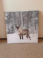 Rendier Print - Winterlandschap, Ophalen, Nieuw, Print, Minder dan 50 cm