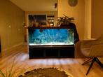 Aquarium onderkast staal  geschikt rio 400, Dieren en Toebehoren, Ophalen, Gebruikt, Leeg aquarium