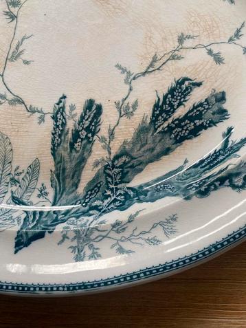 Wedgwood Antieke Serveerschaal Blauw Bloemmotief Oval beschikbaar voor biedingen
