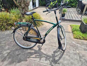 Gazelle herenfiets  7 versnellingen  beschikbaar voor biedingen