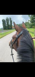 Kieffer Amsterdam full, Ophalen of Verzenden, Zo goed als nieuw