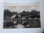 1940 Friesland Fries landschap koeien boerderij water, Ophalen, 1920 tot 1940, Gelopen, Friesland