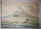 Indonesische school. Aquarel. Rijstvelden. Berg. Gesigneerd., Antiek en Kunst, Kunst | Schilderijen | Klassiek, Ophalen of Verzenden