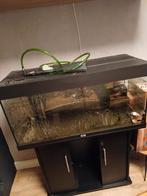 Juwel aquarium, Dieren en Toebehoren, Vissen | Aquaria en Toebehoren, Ophalen, Leeg aquarium