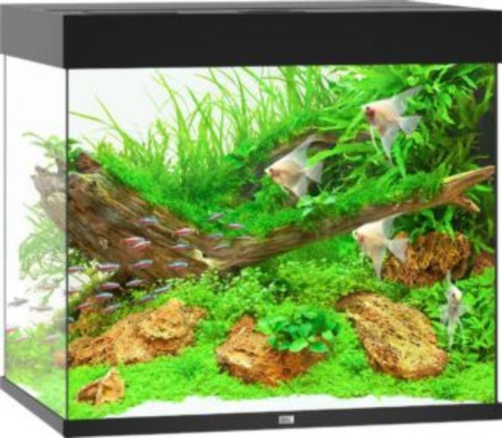 Het hele weekend geopend juwel lido 200, Dieren en Toebehoren, Vissen | Aquaria en Toebehoren, Nieuw, Leeg aquarium, Ophalen