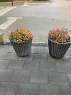 Zwarte betonnen bloembakken, Ophalen, Gebruikt, Rond, 60 tot 100 cm