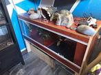 Op maat gemaakte Terrarium met spullen, Ophalen, Zo goed als nieuw, Terrarium of Paludarium