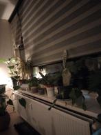 Grijze rolgordijn - 2 meter breed, Huis en Inrichting, Stoffering | Gordijnen en Lamellen, Gebruikt, 200 cm of meer, Ophalen of Verzenden