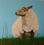 Schaap, Ophalen of Verzenden