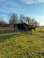 Paardenstal / paarden stalling te huur, Stalling