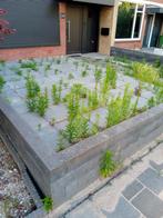 Tuinman/hovenier/tuinhulp gezocht aangeboden