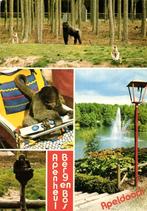 Apenheul Berg en Bos, Apeldoorn - 4 afb. apen - gelopen, Ophalen of Verzenden, Voor 1920, Gelopen, Gelderland