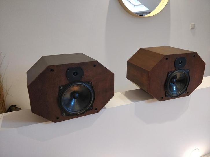 JM Lab DB20 unieke vintage high-end luidsprekers, Audio, Tv en Foto, Luidsprekers, Gebruikt, Front, Rear of Stereo speakers, 120 watt of meer