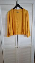 Vest Norah maat 46, Ophalen, Geel, Maat 46/48 (XL) of groter, Norah