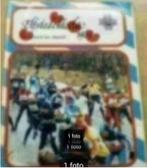 Elfstedentocht 1985 in woord en beeld., Ophalen of Verzenden, Gelezen, Wintersport