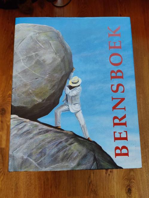 Bernsboek - Wouter Berns - Gesigneerd, Boeken, Kunst en Cultuur | Beeldend, Schilder- en Tekenkunst, Ophalen of Verzenden