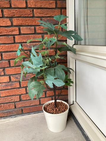 Kunstplant. beschikbaar voor biedingen