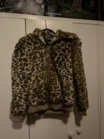 dames jas, Kleding | Dames, Jassen | Winter, Ophalen, Zo goed als nieuw, Maat 38/40 (M), Bruin