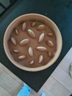 Antischrokbak, Dieren en Toebehoren, Ophalen, Zo goed als nieuw