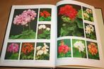 1001 Pelargoniums te kijk, Ophalen of Verzenden, Zo goed als nieuw, Natuur algemeen
