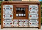 Kruidenkastje vintage met 12 lades ., Antiek en Kunst, Antiek | Keukenbenodigdheden, Ophalen