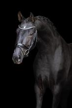 Prachtige talentvolle merrie te koop, Dieren en Toebehoren, Paarden, Merrie, Gechipt, Dressuurpaard, 3 tot 6 jaar