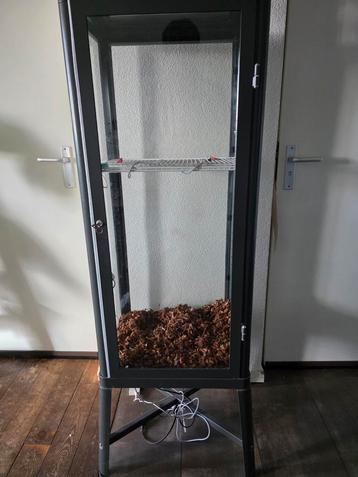 Greenhouse cabinet beschikbaar voor biedingen