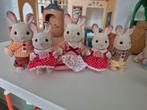 Sylvanians, Kinderen en Baby's, Speelgoed | Poppenhuizen, Ophalen of Verzenden, Zo goed als nieuw