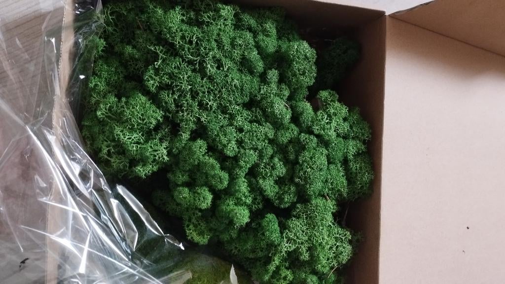 Schilderij maken van mos., Ophalen, Knutselwerk