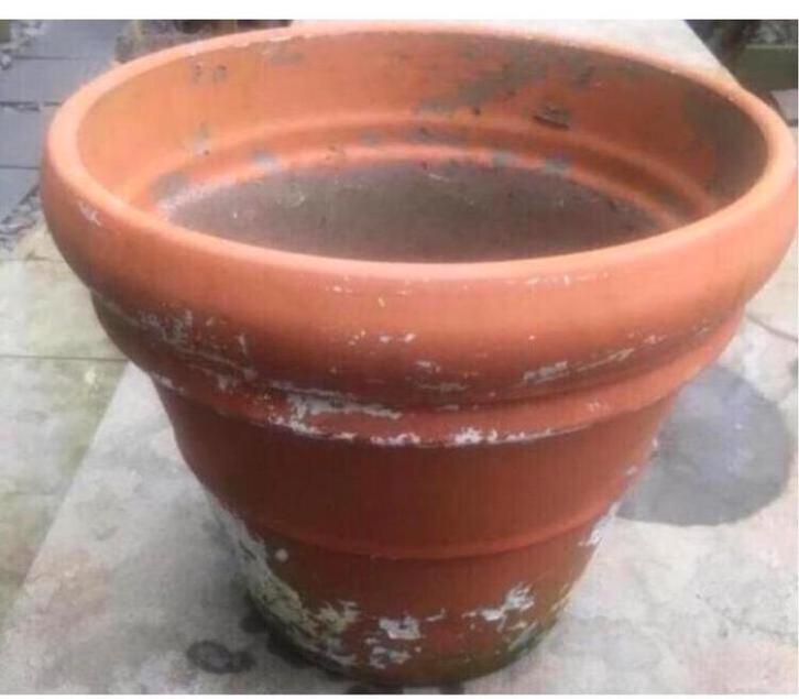Grote oude terracotta pot 47cm Vorstbestendig, Tuin en Terras, Bloempotten, Gebruikt, Terracotta, Binnen, Balkon, Tuin, 40 tot 70 cm