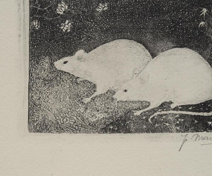 Ets Mankes, 2 muisjes in het bos., Antiek en Kunst, Kunst | Etsen en Gravures, Ophalen of Verzenden