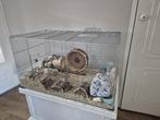 Hamsterkooi, Dieren en Toebehoren, Kooi, Gebruikt, Hamster, 75 tot 110 cm