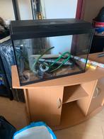 Aquaria 2 maal plus toe behoren, Ophalen, Zo goed als nieuw, Leeg aquarium