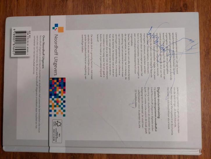 Lerend Organiseren - André Wierdsma, Joop Swieringa, Boeken, Studieboeken en Cursussen, Gelezen, HBO, Ophalen of Verzenden