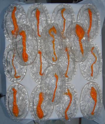 La Murrina Murano glazen lamp schaaltjes onderdelen 60's beschikbaar voor biedingen