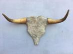 Koe of stierenkop met hoorns en stuk kop met vacht, Verzamelen, Ophalen of Verzenden, Gebruikt, Boerderijdier, Gewei of Kop
