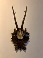 Gewei gems, Ophalen of Verzenden, Zo goed als nieuw, Hert, Schedel