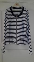 Esqualo vest MAAT 36, Kleding | Dames, Ophalen of Verzenden, Zo goed als nieuw, Maat 36 (S), Blauw