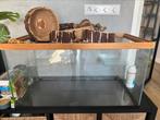 Terrarium 80x40x40, veel extra’s, Hamster, Zo goed als nieuw, Hok, 75 tot 110 cm