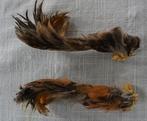taxidermie: opgezette kippepoten en kauwepoten, Ophalen of Verzenden, Nieuw, Vogel, Opgezet dier