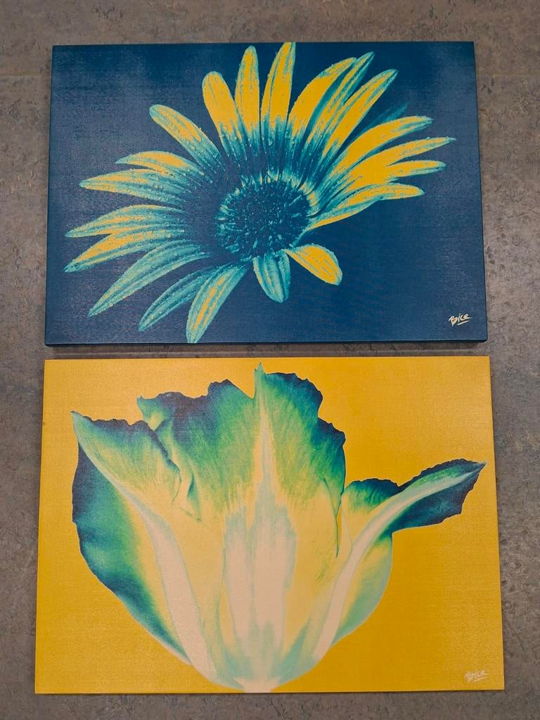 Twee Bloemen Schilderijen, Ophalen of Verzenden, Zo goed als nieuw