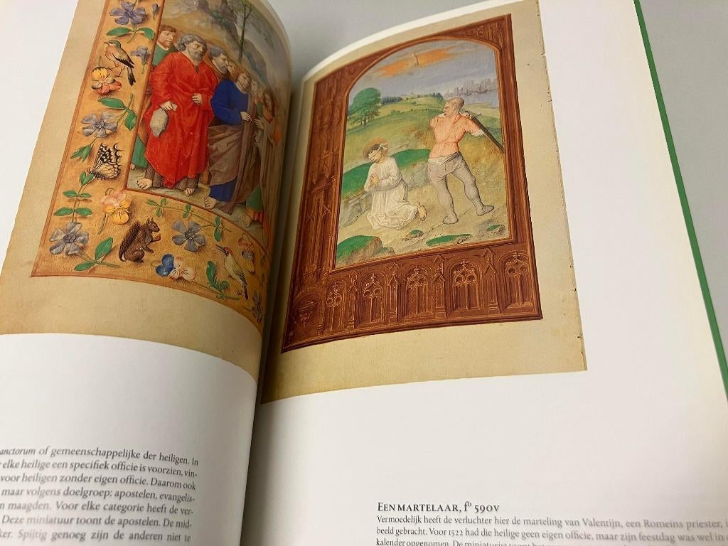 Breviarium Mayer van den bergh Alle miniaturen, Ophalen of Verzenden, Gelezen, Europa