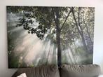 Groot Canvas - Bos met Zonnestralen 140x200cm, Huis en Inrichting, Woonaccessoires | Schilderijen, Tekeningen en Foto's, Ophalen