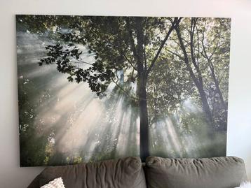 Groot Canvas - Bos met Zonnestralen 140x200cm beschikbaar voor biedingen