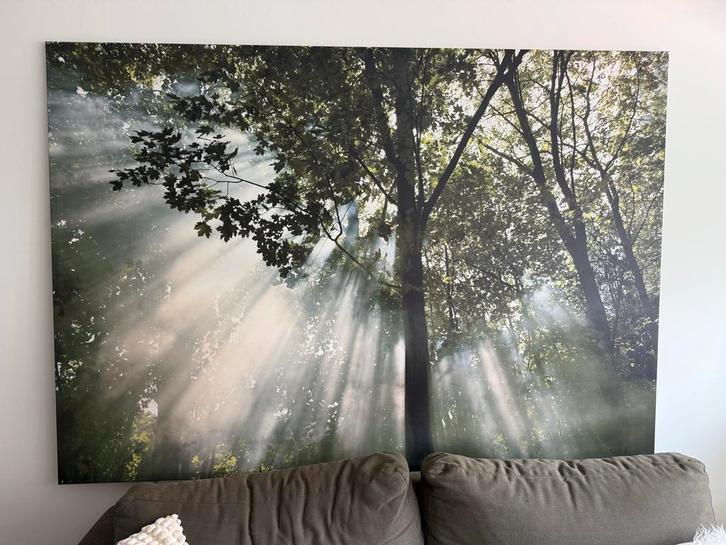 Groot Canvas - Bos met Zonnestralen 140x200cm, Huis en Inrichting, Woonaccessoires | Schilderijen, Tekeningen en Foto's, Zo goed als nieuw