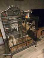 Papegaai kooi, Dieren en Toebehoren, Vogels | Hokken en Kooien, Ophalen, Zo goed als nieuw, Metaal, Vogelkooi