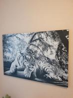 Houten fotolijst zwart wit tijger met turquoise kleur ogen., Ophalen